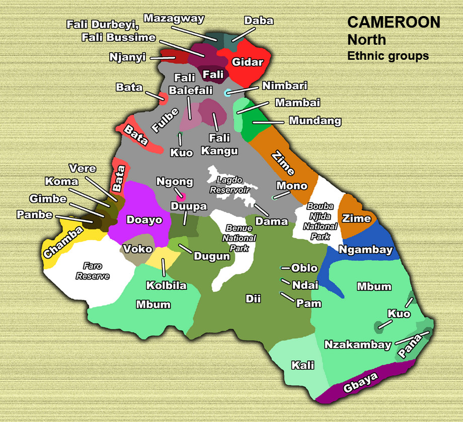 Cameroon Ethnic map